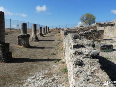 Yacimiento Romano de Ercávica -Monasterio Monsalud;micologia madrid rutas por la comunidad de madrid